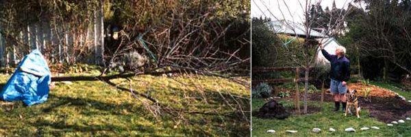  The garden border is yet to be dug. 