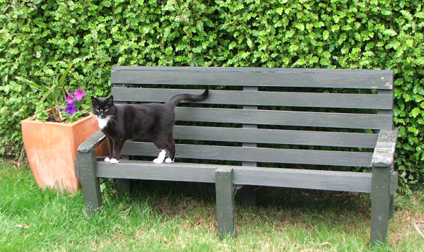  With Kaya the cat. 