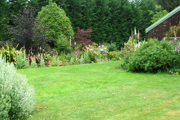 Big Lawn
