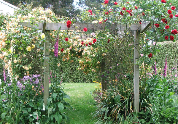  Covered with climbing roses. 