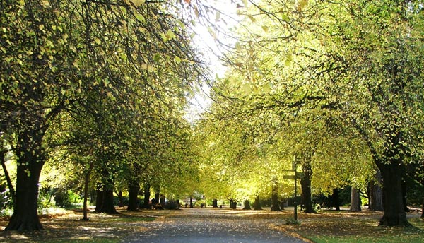  The colours are amazing in the autumn sunshine! 