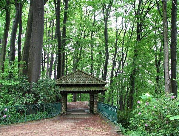  A beautiful place to shelter from the rain. 