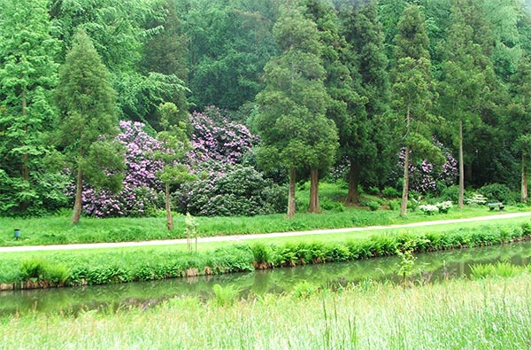  The path loops right around an arm of the lake. 