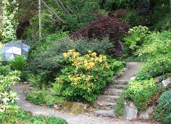  In the woodland garden at Attadale. 