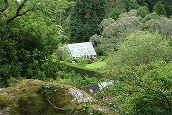  A view from up in the woodland. 