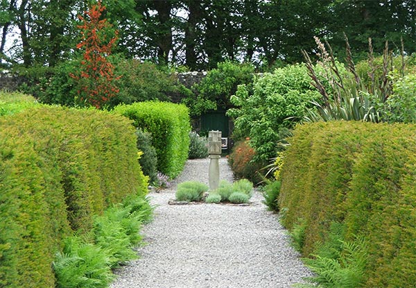  Hedges and pots. 