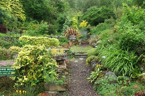  The view up the gully. 