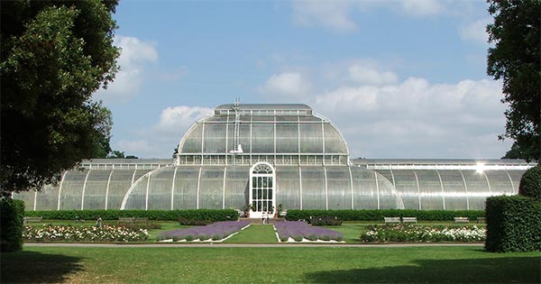  With beautiful lavender plantngs in gravel. 