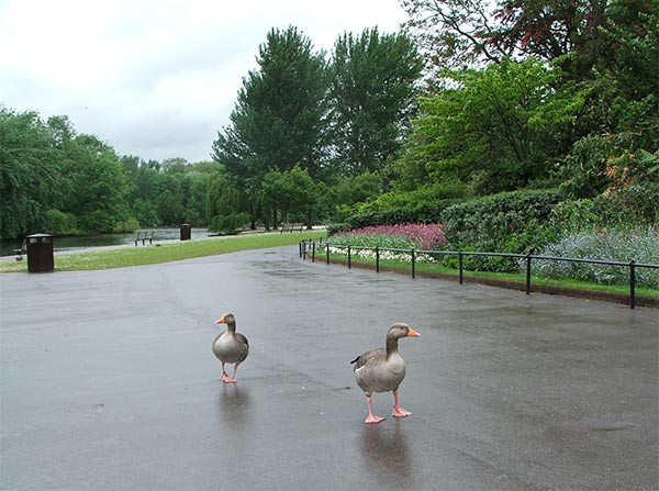 London Regents Park