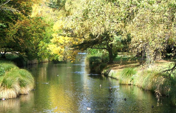  The autumn trees make gold reflections in the slow moving water.  