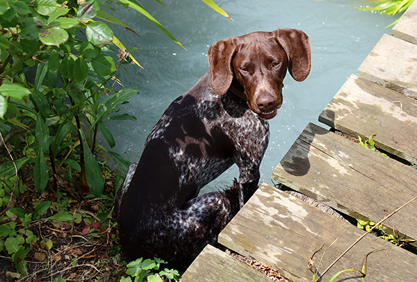  A spotty GSP. 