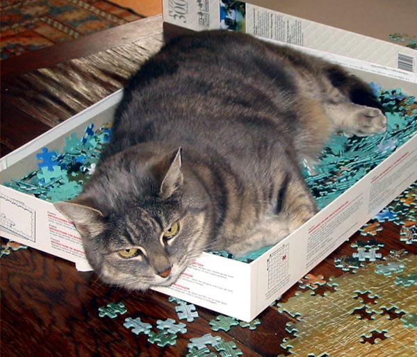  Why does she like the feel of the jigsaw pieces on her fur? A cat skin massage? 