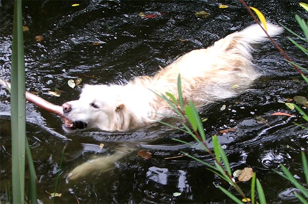  Trust me - the water is really cold! 