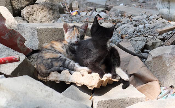  Sitting on a cardboard egg carton. 