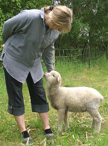  Hee hee. Haru the pet lamb. 