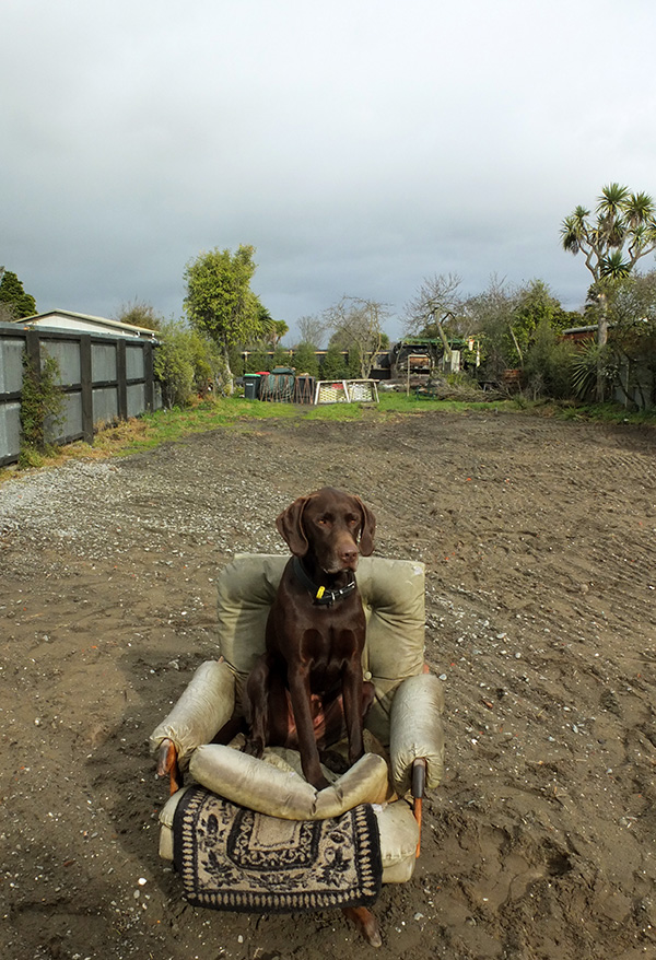  Sitting in his feral chair where his house verandah used to be. 