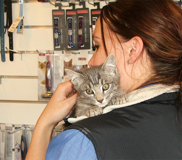  Smooching the vet nurse. 