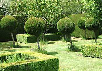  An Ohoka garden. 