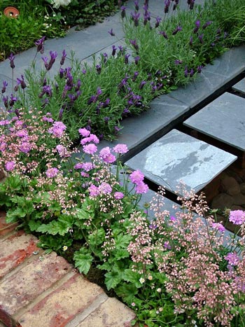  Lavendar and heuchera off-set by slate in a Chelsea garden. 