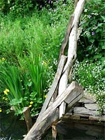 old-rustic-fence