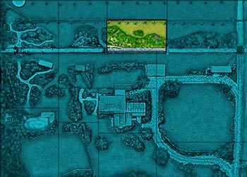  Dog-Path Garden Tour 