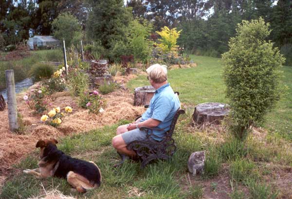  Stephen and Taj-dog contemplating the new Dog-Path roses. 