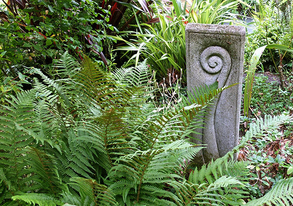  The koru is a theme in my Dog-Path Garden. 