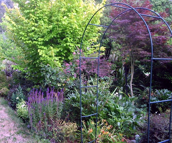  The rather flimsy archway is at the moment rose-less. 