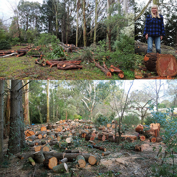  Lots of work shifting all those log rounds. 