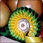  Bridgwater Flower Show 