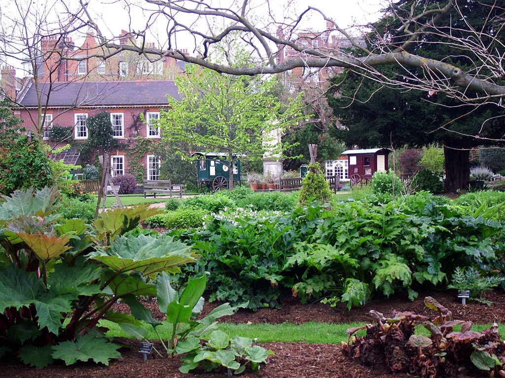 Chelsea Psychic Garden