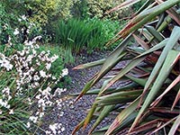 path-flax-bush