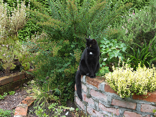  By the Herb Spiral. 