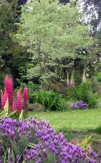  Looking over the water to the back lawns. 