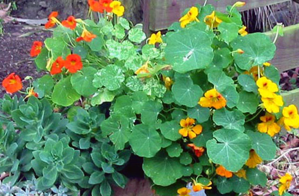  Very bright and cheerful. 
