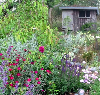  This is part of the Hen House Garden. 