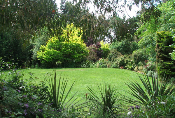  The spiky plants in the foreground are juvenile Cordylines. 