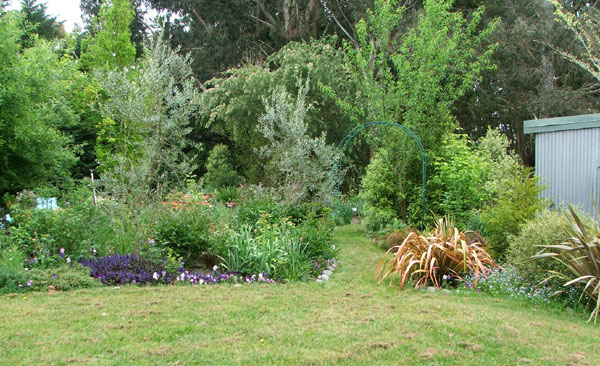  Almost ready for the peonies to flower. 