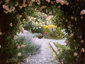  This is the view from looking out from the french doors. 