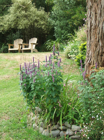  Up the back of the house lawn. 