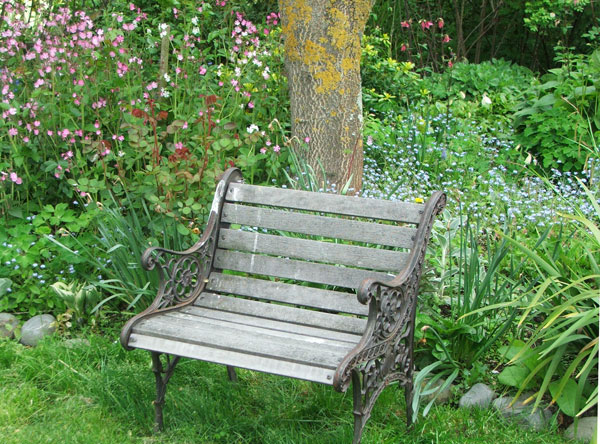  By the old Glass-House Garden. 