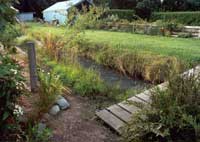  A large fern has installed itself at the edge of Middle Bridge. 