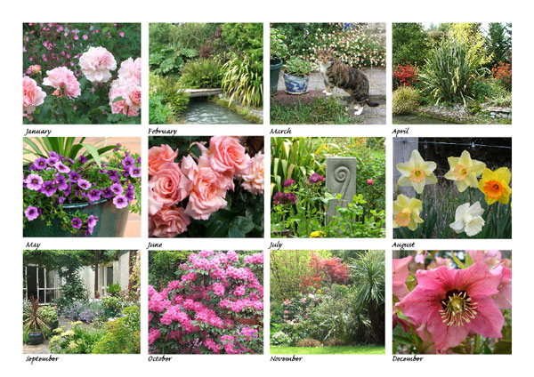  All the images. 