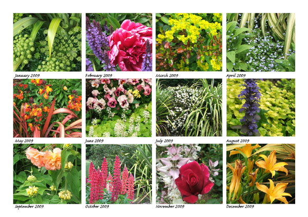  Here are all the images you'll see in my calendar. 