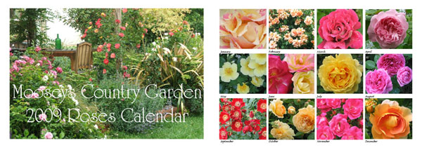  This is the Roses-1 calendar. 