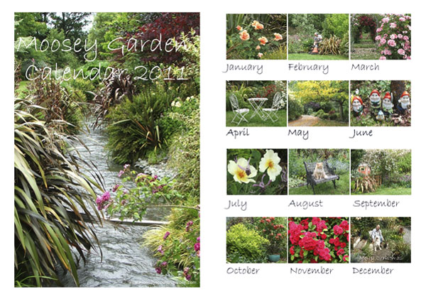  All new photographs of the same old garden... 