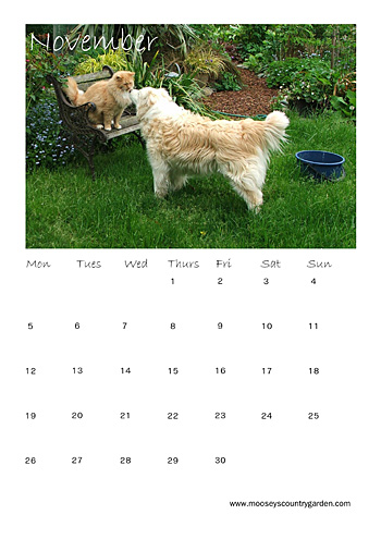  Hope the days are correct! 