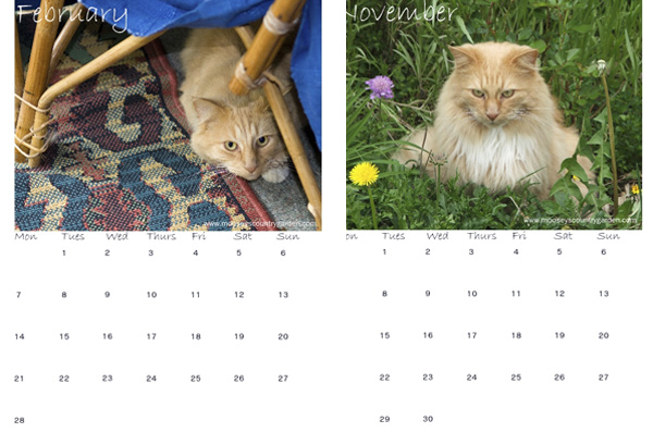  Mister February and Mister November. 