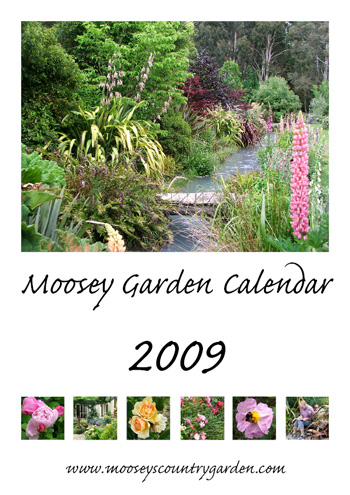  The cover of the calendar. 