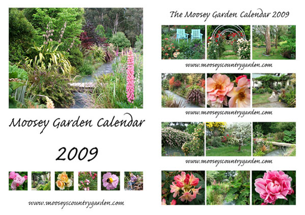  The garden looks beautiful in all the photographs... 